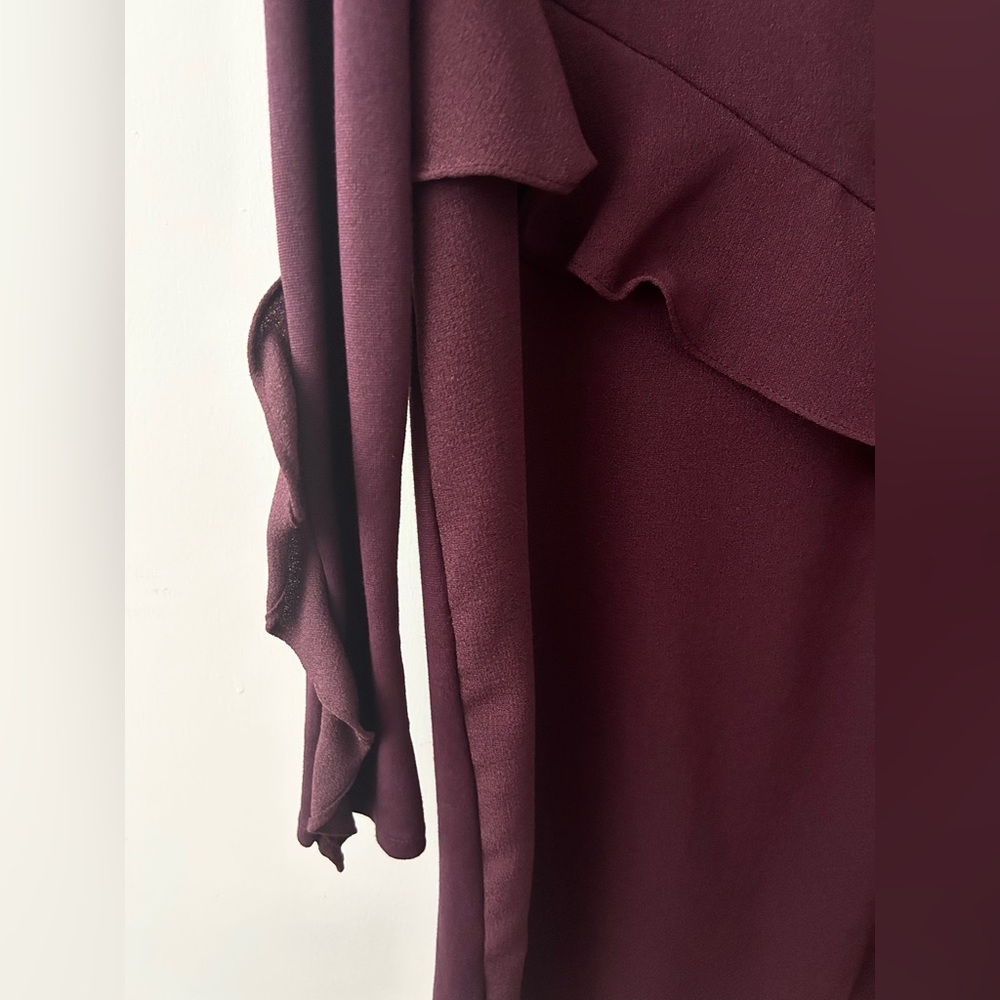 Zara Burgundy Ruffle Dress - Picture 4 of 6